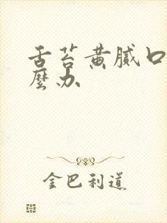 舌苔黄腻口苦怎么办