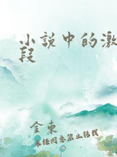 小说中的激情片段