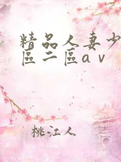 精品人妻少妇一区二区aⅴ