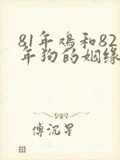 81年鸡和82年狗的姻缘