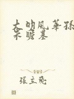 大明风华孙若微朱瞻基 大明风华孙若微朱瞻基