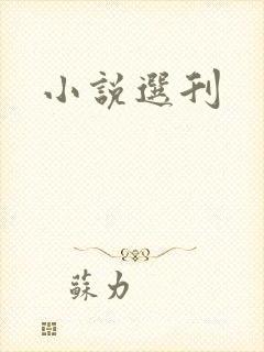 小说选刊
