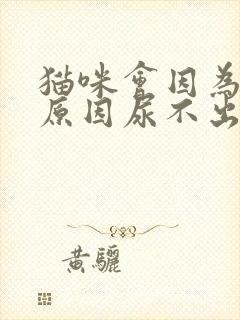 猫咪会因为什么原因尿不出来