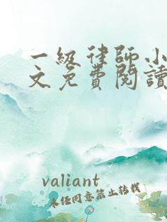 一级律师小说全文免费阅读
