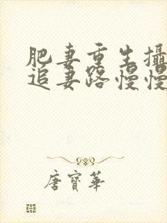 肥妻重生摄政王追妻路慢慢