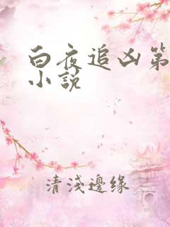 白夜追凶第二季小说
