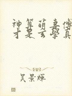 神算萌妻傅太太才是玄学真大佬完整小说