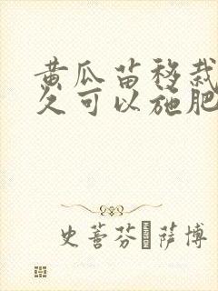 黄瓜苗移栽后多久可以施肥