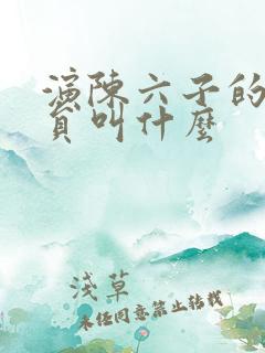 演陈六子的小演员叫什么