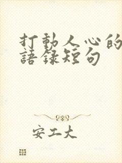 打动人心的情感语录短句