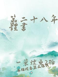 第二十八年春实体书