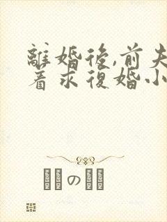 离婚后,前夫哭着求复婚小说阅读