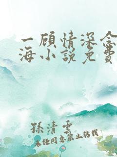 一顾情深念念似海小说免费阅读