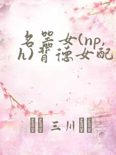 名器女(np,h)背德女配h