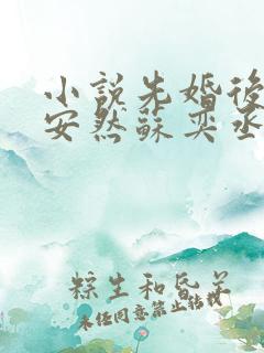 小说先婚后爱顾安然苏奕丞 小说先婚后爱顾安然苏奕丞