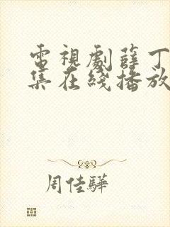 电视剧薛丁山全集在线播放