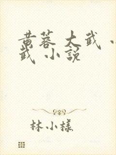 黄蓉 大武 小武 小说 黄蓉 大武 小武 小说