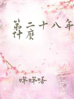 第二十八年春讲什么