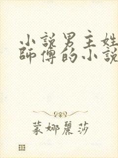 小说男主姓叶有师傅的小说