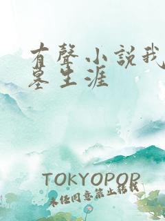 有声小说我的盗墓生涯
