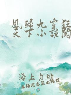 凤归九霄狂妃逆天下小说阅读