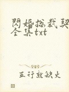 闪婚总裁契约妻全集txt