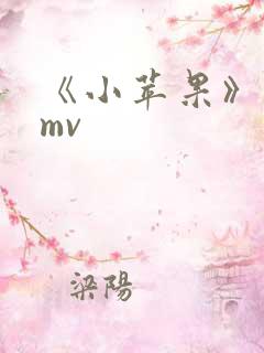 《小苹果》高清mv