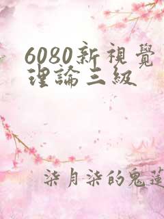 6080新视觉理论三级