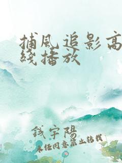 捕风追影高清在线播放