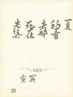 光死去的夏天全集在哪看 光死去的夏天全集在哪看
