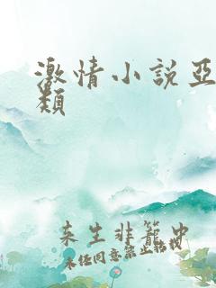激情小说亚洲另类