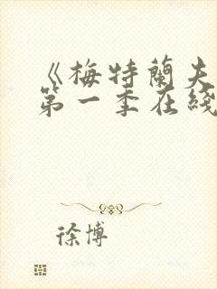 《梅特兰夫人》第一季在线观看
