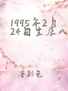 1995年2月24日生辰八字