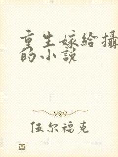 重生嫁给摄政王的小说