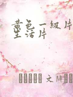 黄色一级片夫妻生活片