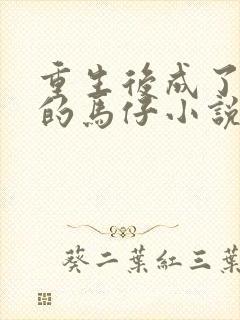 重生后成了反派的马仔小说