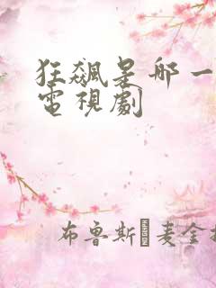 狂飙是哪一年的电视剧
