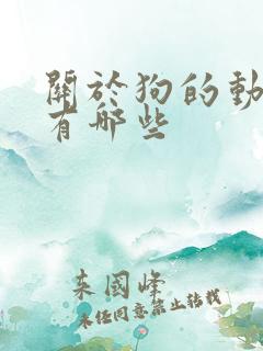 关于狗的动画片有哪些