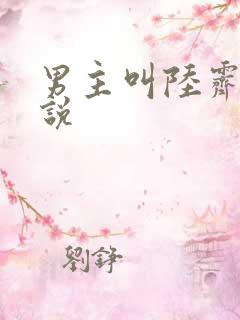 男主叫陆霁的小说
