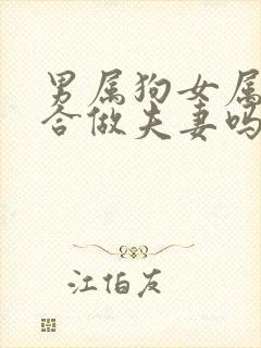 男属狗女属虎适合做夫妻吗