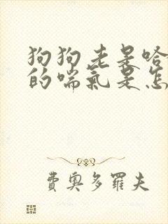 狗狗老是哈哈哈的喘气是怎么回事
