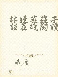 林晓薇强子的小说在线阅读笔趣阁