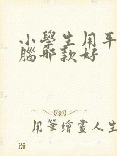 小学生用平板电脑哪款好