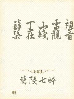薛丁山电视剧全集在线观看免费播放
