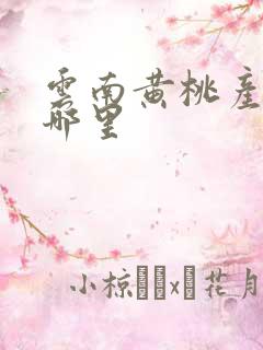 云南黄桃产地在哪里