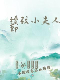续弦小夫人新章节