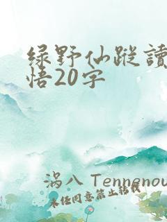 绿野仙踪读后感悟20字