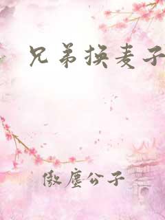 兄弟换麦子4