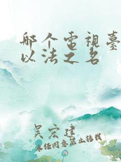 哪个电视台在播以法之名