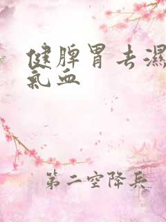 健脾胃去湿气补气血